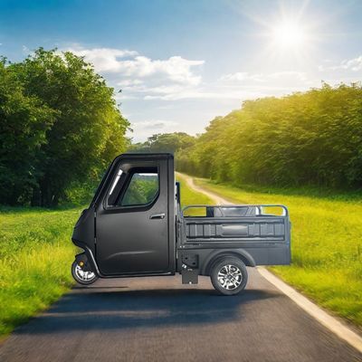 Optionnel 1000/1200/2000/3000W Tricycles électriques pour famille 3 roues E-Bike et pédicab