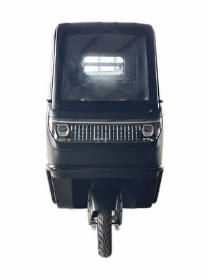 Optionnel 1000/1200/2000/3000W Tricycles électriques pour famille 3 roues E-Bike et pédicab