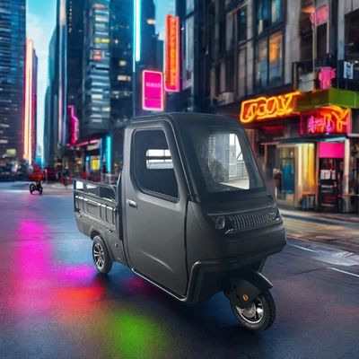 Optionnel 1000/1200/2000/3000W Tricycles électriques pour famille 3 roues E-Bike et pédicab