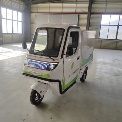 Tricycles électriques 3 roues E-Bike 3 roues Motocyclette à usage agricole polyvalent