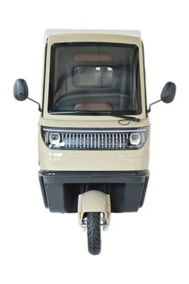 Tricycles électriques 3 roues E-Bike Motocycle à trois roues avec 70-90km de kilométrage