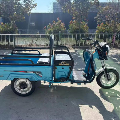 Transport de marchandises lourdes avec 3,75-12 pneus 600kg 1000w moto électrique à 3 roues