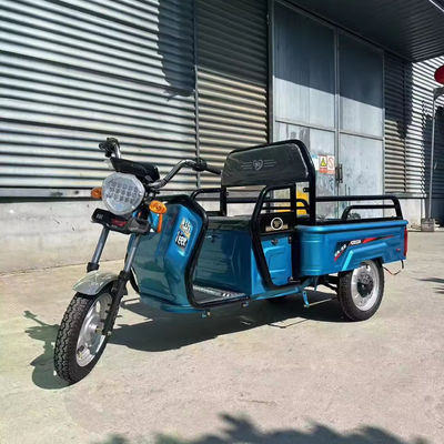 Transport de marchandises lourdes avec 3,75-12 pneus 600kg 1000w moto électrique à 3 roues