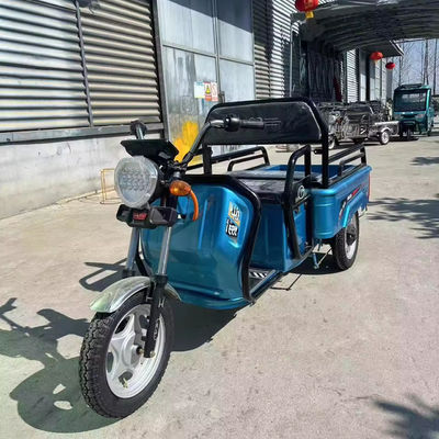 Transport de marchandises lourdes avec 3,75-12 pneus 600kg 1000w moto électrique à 3 roues