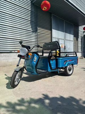 Custom Farm 1200W motocycle électrique à trois roues avec système de freinage à tambour avant à tambour arrière