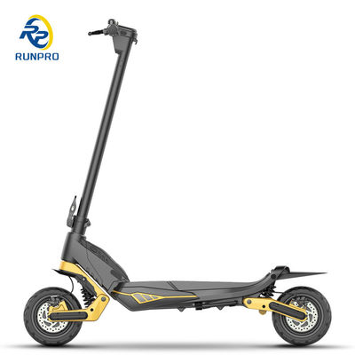 Batterie amovible 500W 2*500W48V Scooter électrique à double moteur avec 6-8h de charge