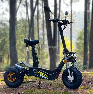 Off-road 2000W 3000W Mobilité scooter électrique COC CEE moteur sans balai 10 pouces moteur hub scooter électrique moto vélo avec CE
