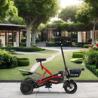 Scooter électrique avec deux moteurs sans balai et cadre en acier 48V500W*2 batterie au lithium
