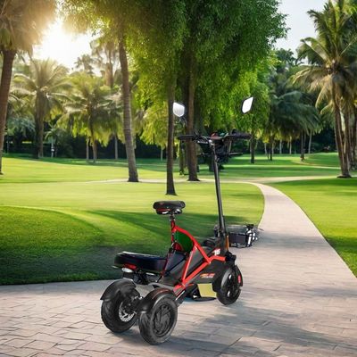 Scooter électrique avec deux moteurs sans balai et cadre en acier 48V500W*2 batterie au lithium