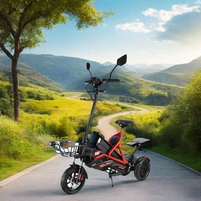 Scooter électrique avec deux moteurs sans balai et cadre en acier 48V500W*2 batterie au lithium
