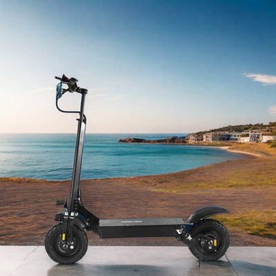 Scooter électrique unisexe sans tube avant et arrière 800W 1000W*2 60V18ah