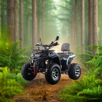 200CC ATV 250CC ATV Adult ATV Quad Bike avec entraînement par chaîne et démarrage par traction électrique de 1000W