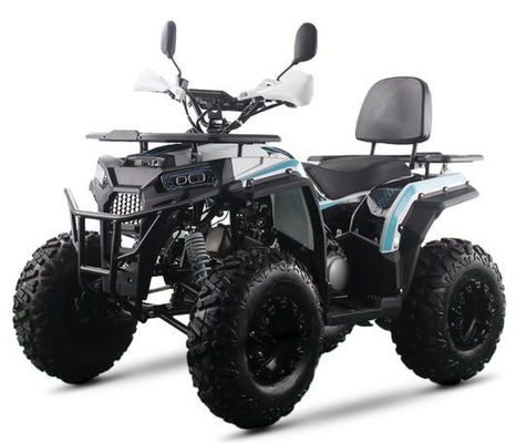 200CC ATV 250CC ATV Adult ATV Quad Bike avec entraînement par chaîne et démarrage par traction électrique de 1000W