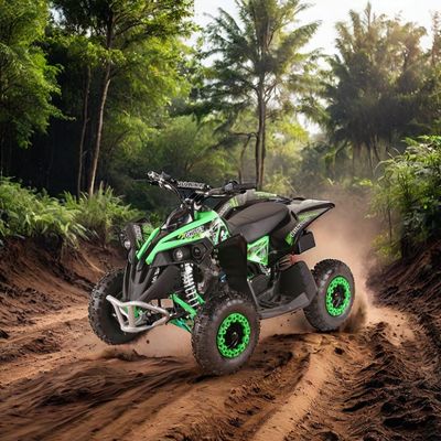 Taille des roues R 14*5.00-6 49CC AUTOMATIC Mini démarrage électrique ATV Quad Bike avec CE approuvé