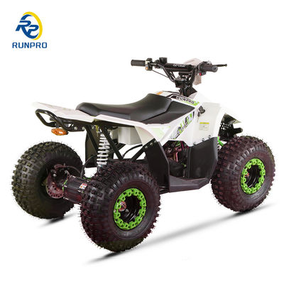 1200W48V20AH Différentiel à entraînement d'arbre électrique 4 roues ATV pour les amateurs de Mini Quad