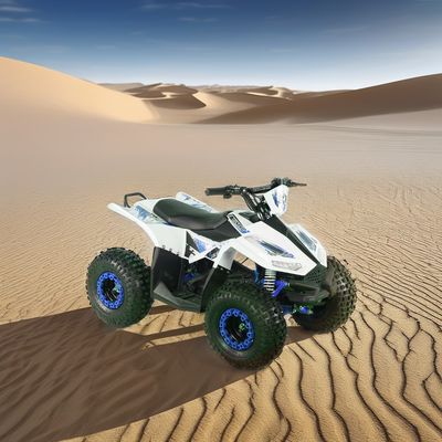 UTV électrique 4 roues de course Quad hors route moto pour enfants Quad 2024 1200W 48V12ah