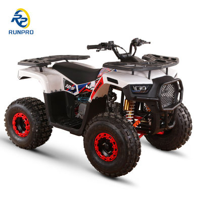 Frontaux et arrière freins à disque hydraulique 125cc Farm ATV Quad avec 19*7-8/18*9.5-8 roues