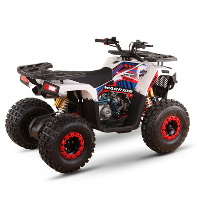 VTT alimentés au gaz de 125 cc pour adultes Directement Haute capacité de classement ≥25° Déplacement 125cc