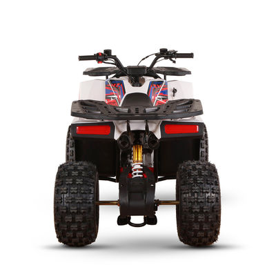 VTT alimentés au gaz de 125 cc pour adultes Directement Haute capacité de classement ≥25° Déplacement 125cc