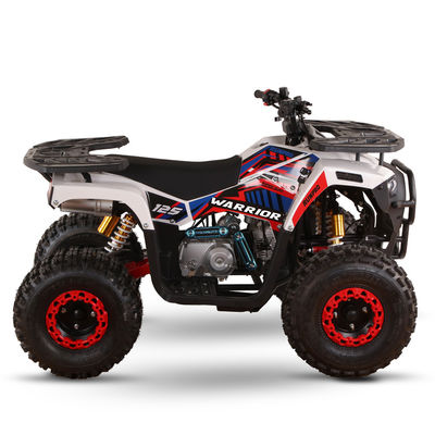 VTT alimentés au gaz de 125 cc pour adultes Directement Haute capacité de classement ≥25° Déplacement 125cc