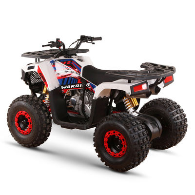 VTT alimentés au gaz de 125 cc pour adultes Directement Haute capacité de classement ≥25° Déplacement 125cc
