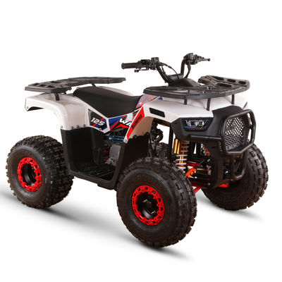 VTT alimentés au gaz de 125 cc pour adultes Directement Haute capacité de classement ≥25° Déplacement 125cc