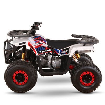 VTT alimentés au gaz de 125 cc pour adultes Directement Haute capacité de classement ≥25° Déplacement 125cc