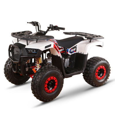 Transmission automatique de 1000W Type 4x4 VTT UTV hors route Farm Motor 150cc Quatre roues