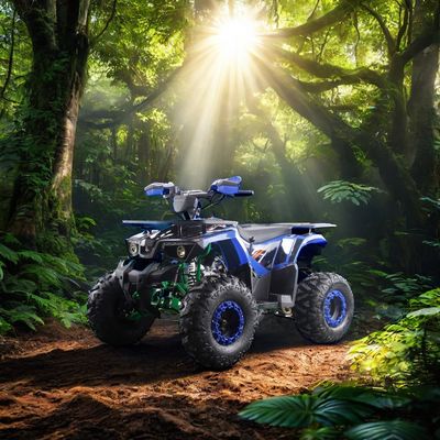 Puissants quads à essence de 125 cc avec type de conduite à deux roues motrices et caractéristiques intéressantes