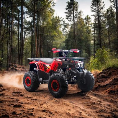 Puissants quads à essence de 125 cc avec type de conduite à deux roues motrices et caractéristiques intéressantes