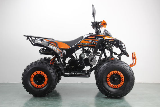 2024 Direct 125CC 2WD ATVs Transmission automatique Axe de conduite à 4 temps Quad Bike Carburant au gaz