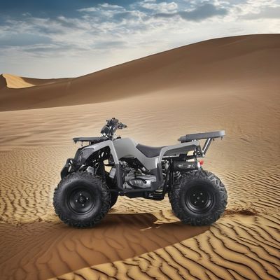 VTT à gaz de 200 cc pour adultes, couple maximal de 40 à 60 Nm et vitesse maximale de 75 km/h