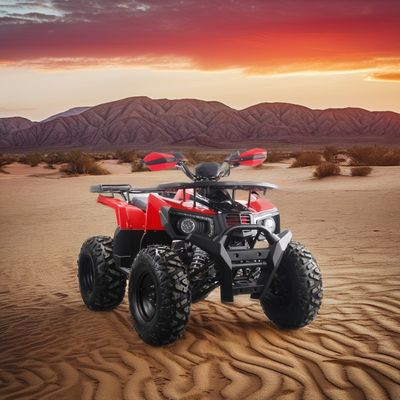 VTT à gaz de 200 cc pour adultes, couple maximal de 40 à 60 Nm et vitesse maximale de 75 km/h