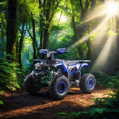 Enfants adultes en acier 2 roues motrices 12V électrique à chaîne manuelle avec remontage 125cc quad automatique