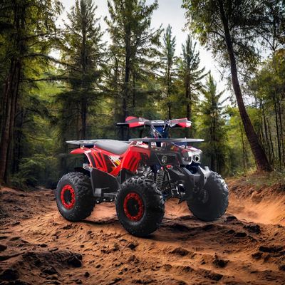 Enfants adultes en acier 2 roues motrices 12V électrique à chaîne manuelle avec remontage 125cc quad automatique