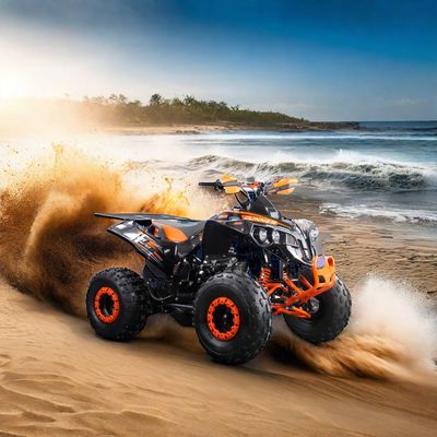 Transmission à chaîne 125CC ATV 4 roues avec moteur puissant et certification CE
