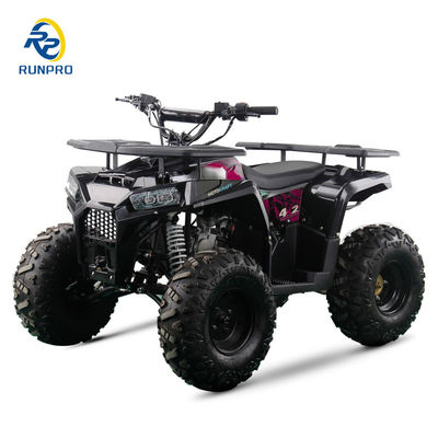 Buggy de plage à essence à quatre temps de 125 cc certifié CE avec roues de 8 pouces et charge maximale de 150 kg