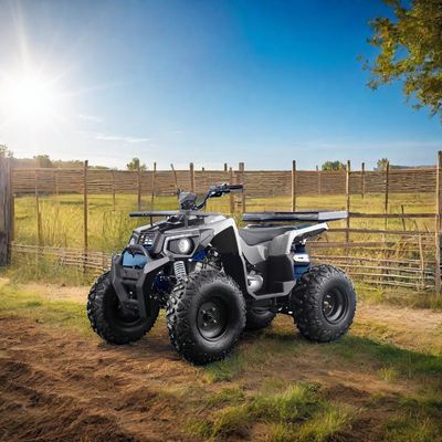 Tout-terrain à essence de 200 cc avec moteur automatique et roues en acier de 10 pouces