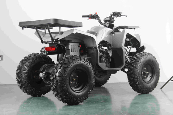 Tout-terrain à essence de 200 cc avec moteur automatique et roues en acier de 10 pouces