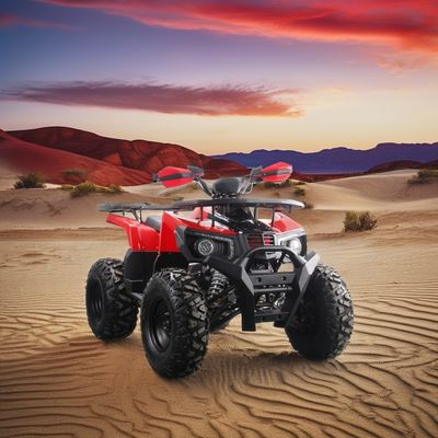 2024 Runpro pneu en acier de 10 pouces 200cc ATV avec lumière LED libérez votre aventurier intérieur