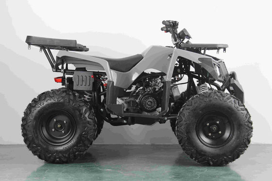 Off-road 10 pouces pneu 200CC 250CC adulte quad ATV avec démarrage automatique et chaîne de conduite