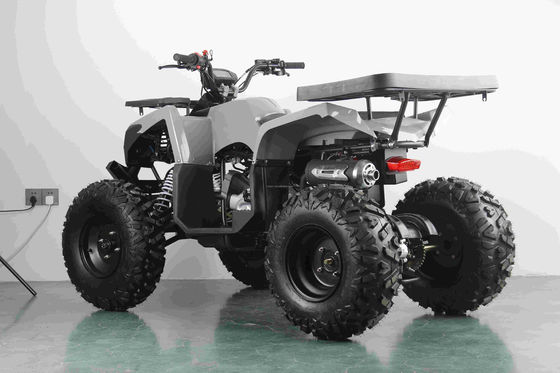 Off-road 10 pouces pneu 200CC 250CC adulte quad ATV avec démarrage automatique et chaîne de conduite