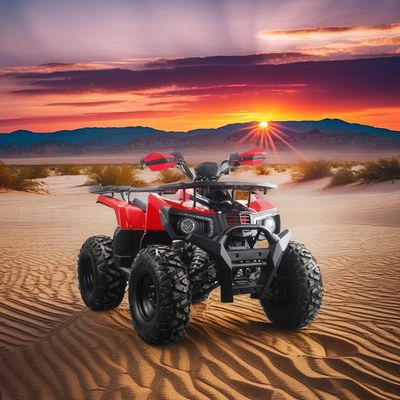 Off-road 10 pouces pneu 200CC 250CC adulte quad ATV avec démarrage automatique et chaîne de conduite