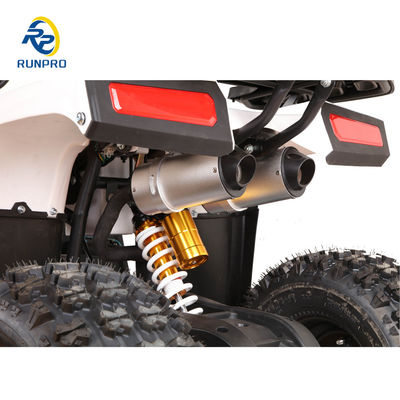 110cc Sirus 125cc ATV Quad Bike avec capacité de charge utile 100-200kg RUNPRO Professionnel 2024