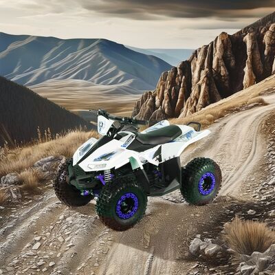 Moteur à deux temps type RUNPRO 1200W 48V ATV électrique à quatre roues pour motos hors route