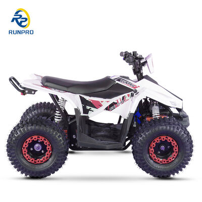 1200W 1500W 48V Quad ATV électrique pour adultes 2024 Voltage 48V Vitesse maximale ≤50Km/h