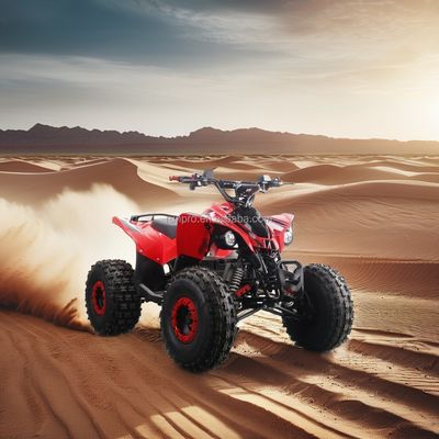Electric Kids ATV Quad Bike certifié CE avec moteur de 1500W et batterie au plomb 48V12AH