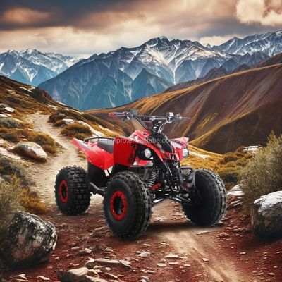 Electric Kids ATV Quad Bike certifié CE avec moteur de 1500W et batterie au plomb 48V12AH