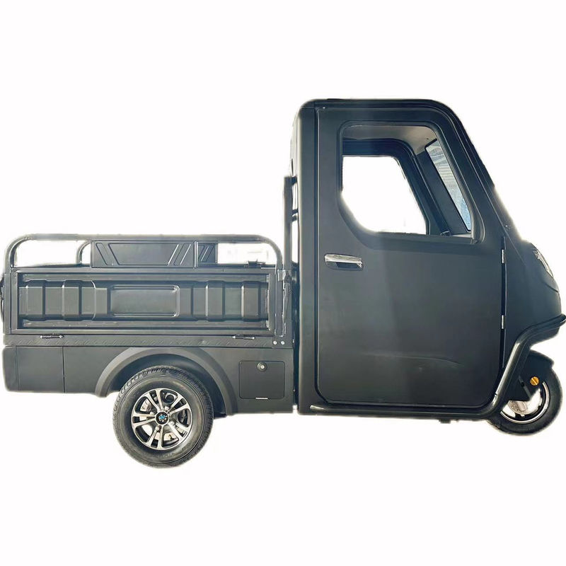 Optionnel 1000/1200/2000/3000W Tricycles électriques pour famille 3 roues E-Bike et pédicab