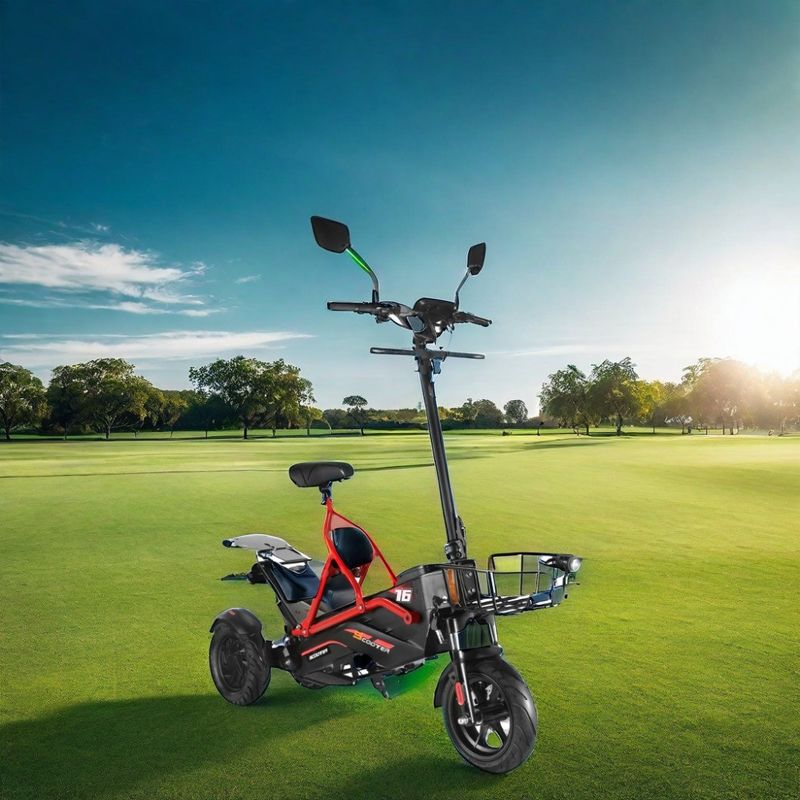 Scooter électrique avec deux moteurs sans balai et cadre en acier 48V500W*2 batterie au lithium